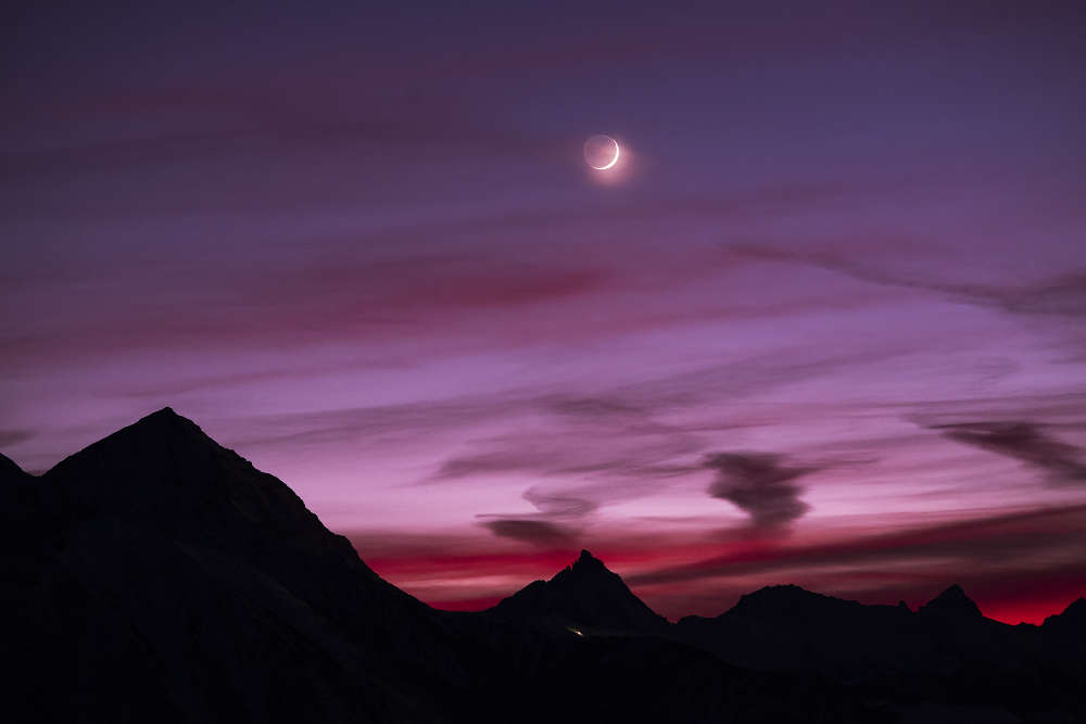 luna_cinerea-cipolat_bares