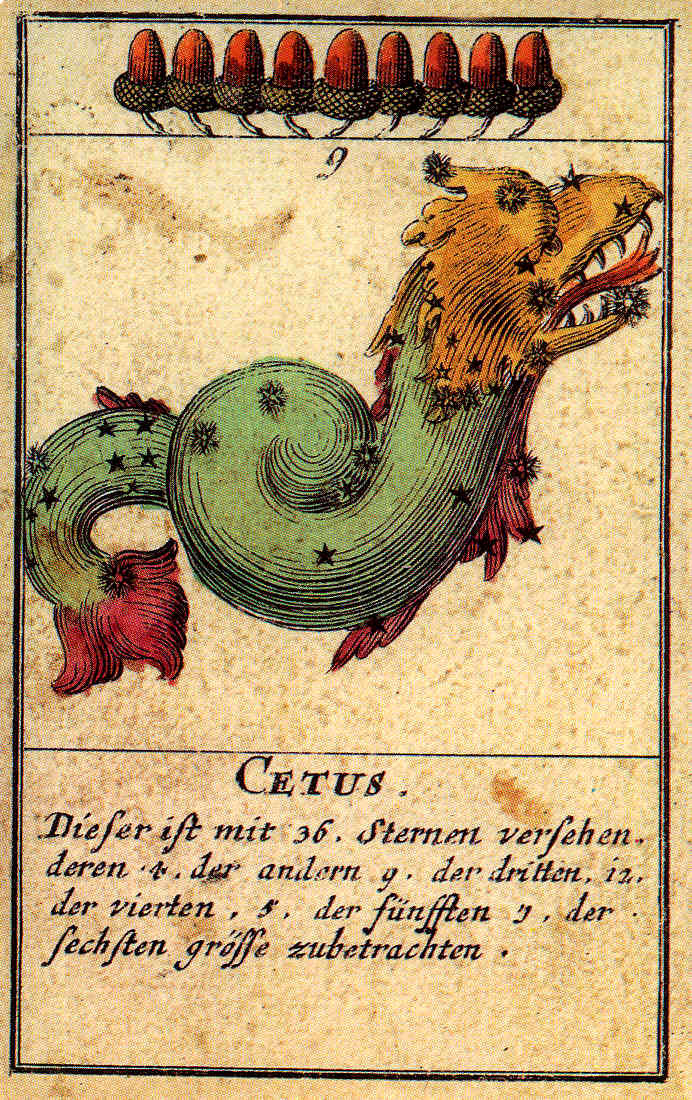 La costellazione della Balena di Andreae